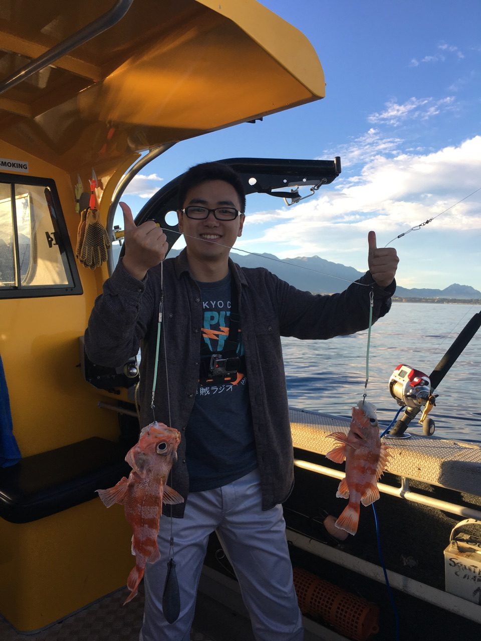 新西兰旅行照片，第 43 帧